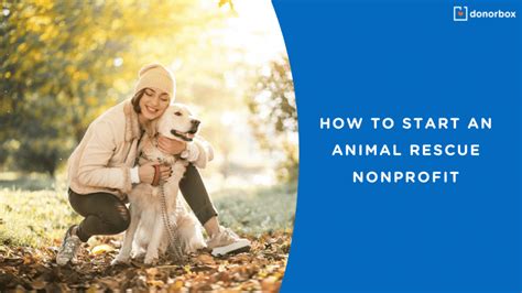 How to start an animal rescue with no money. Things To Know About How to start an animal rescue with no money. 